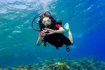Scuba Diving Boat Trip With Lunch For Beginners – Marsa Alam
