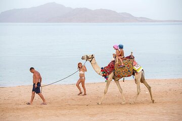 Camel Ride 1 Hour In the wonderful desert of Hurghada - Hurghada