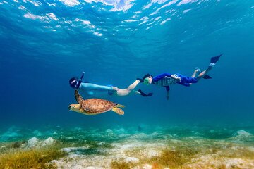 Full-Day Snorkeling with Turtles at Sharm El Naga from Hurghada