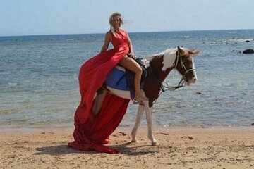 Horse Riding 2 Hours in Nabq Bay beach & Transfer-Sharm El Sheikh