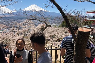 Private shuttle van and guided tour of Mt. Fuji Tokyo/Yokohama ⇒ Tokyo/Yokohama 9 hours 2-4 people