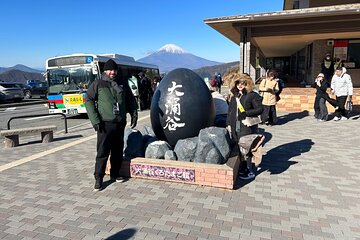 Private shuttle van and guided tour of Mt. Fuji and Hakone Tokyo/Yokohama ⇒ Tokyo/Yokohama 10 hours 2-4 people