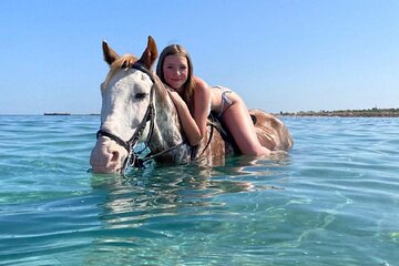 Camel Or Horse Ride At Amazing Desert, Nabq Bay - Sharm El Sheikh