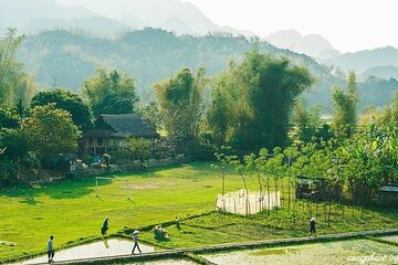 BEST Day Trip to Mai Chau with Hidden Charms & Rural Villages 