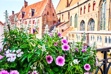  Best Bruges Shore Excursion and Venice of the North Canal Cruise