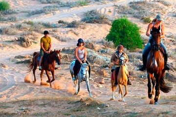 1 Hour Horse Riding in Agafay With Dinner & Transfer - Marrakesh