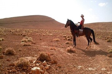 Horse Riding 1 Hour Adventures in the Magical Desert - Hurghada