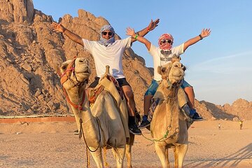 Kings Safari: Quad, Camel, Dinner and Show in Sharm El-Sheikh