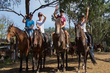Horse Riding in Palmeraie Grove with Transfer - Marrakesh