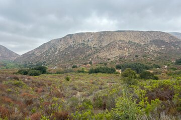  Guided Meditation, Hike, and Nature Walk in San Diego