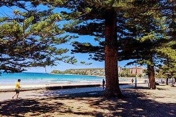 Golden Beaches and Ocean Vistas MANLY AND NORTHERN BEACHES PRIVATE TOUR