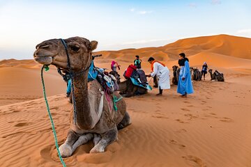 4 Days Private Tour to Moroccan Safari and Desert 