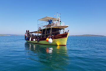 Private Sunset Dolphin Excursion with Dinner and Animation 