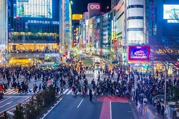 1-Day Tokyo Customizable Private English Speaking guide tour