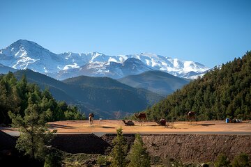 High Atlas Mountains Day Visit " Ourika Valley & Setti Fatma"