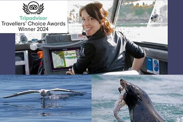 Dunedin Wildlife Cruise-Albatross, seals and harbour