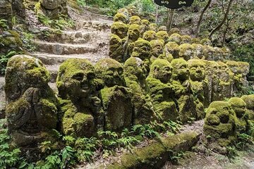 Otagi Nenbutsu Temple and Arashiyama Bamboo Forest Tour