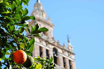 Essential Seville Tour