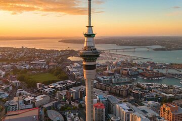 Auckland Half Day Tour Through Urban Wonders