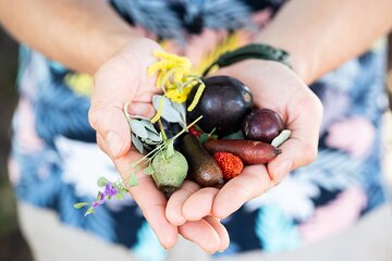 Australian Food Walking Tour