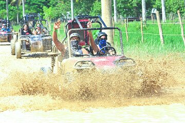 Punta cana Boogie into the Jungle with Coffee and Chocolate Taste