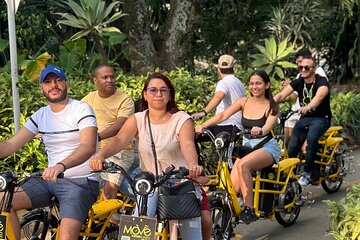 Private One and a Half Hour E-Bike Express Tour