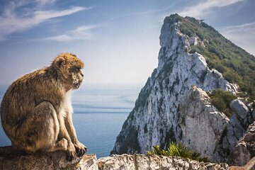 Guided Tour from Seville Discovering Gibraltar