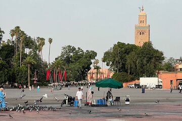 Marrakech Shopping Tour and Night Life