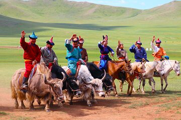 Private Full Day Khustai National Park and Mongol Nomadic Tour 