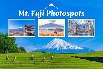 Mt. Fuji Highlight Photo Spots One Day Tour