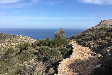 Chania to Irini Gorge Hike & Sougia South Bank Beach Private Tour