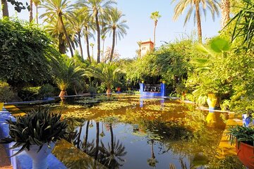 Unforgettable Marrakech Full-Day Tour with Transfer - Agadir