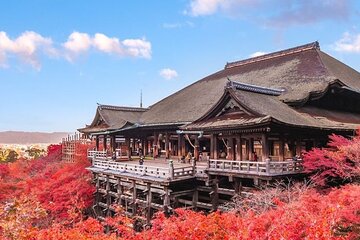 Kyoto Full Day Private Tour