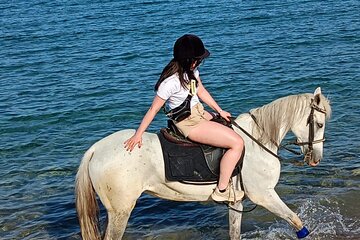 1 Hour Horse Ride in Sharm El Sheikh