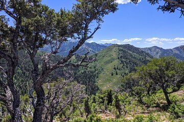 Park City Hiking Activity with Local Guide