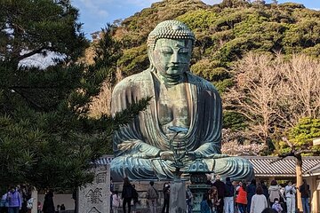 Private Car Tour to see Highlights of Kamakura, Enoshima, Yokohama from Tokyo