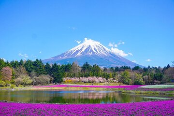 Private Mount Fuji Tours with Car Pickup from Tokyo