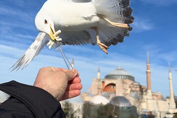 Voyager of Istanbul Private Top Landmark Tour