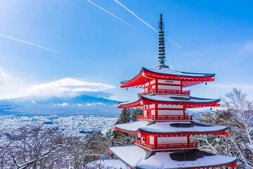 Full Day Mount Fuji Customized Tour with English Speaking Driver