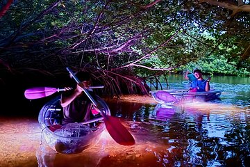 Guided Night Kayak Adventure Tour in Luminous Lagoon