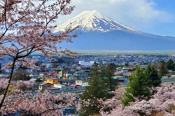 Full Day Private Guided Tour Mt. Fuji and Hakone