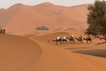 3-Day Sahara Tour, Departure from Marrakech to Merzouga Desert