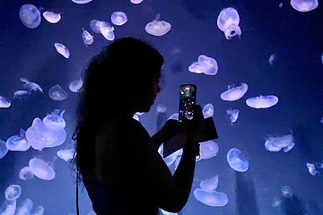 Aquarium Backyard Tour and Tokyo View Observatory in Ikebukuro