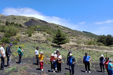 Catania: Etna Morning Jeep Tour