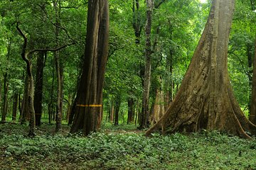 Kerala's Virgin, Prosperous Villages 1 Day Tour Free Pick up&Drop