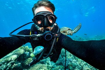 Professional Dives Daily Trip with Transfer & Lunch - Hurghada