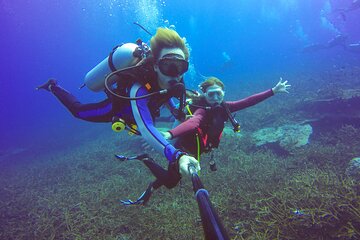 Tiran Island Snorkeling & Diving Trip & Lunch - Sharm El Sheikh