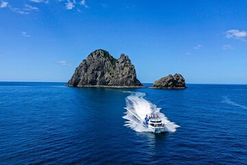 Bay of Islands 2-Day Tour & Cruise from Auckland (hotel included)