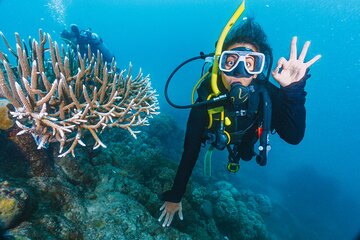 3 Days PADI Open Water Diving Course & Pickup - Sharm El Sheikh