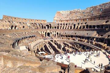 Colosseum, Roman Forum & Palatine Hill - Group Tour 